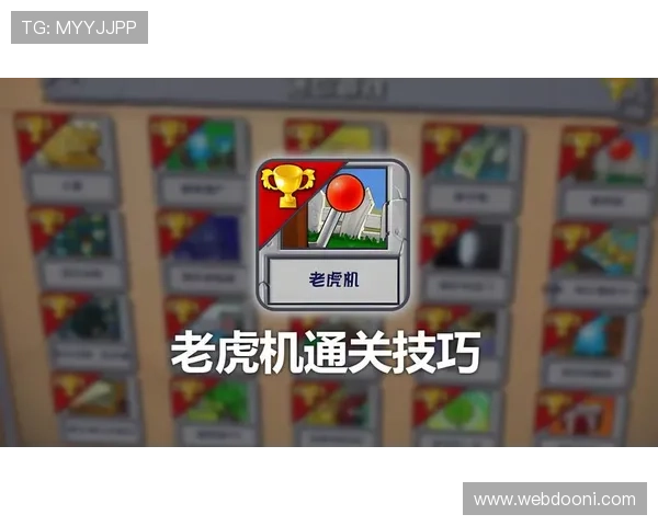 掌握老虎机多样玩法技巧提升中奖概率实现娱乐与盈利的完美结合